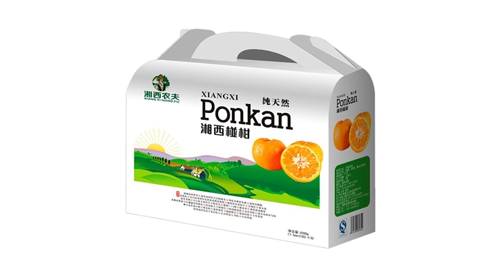 屋頂式紙?zhí)崾窒浒b