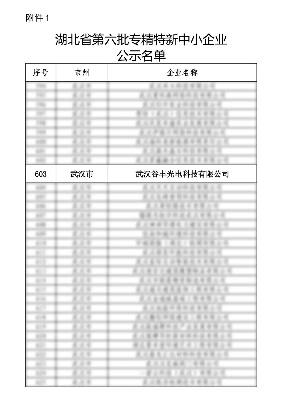 谷豐光電榮獲湖北省第六批專精特新中小企業(yè)認定！